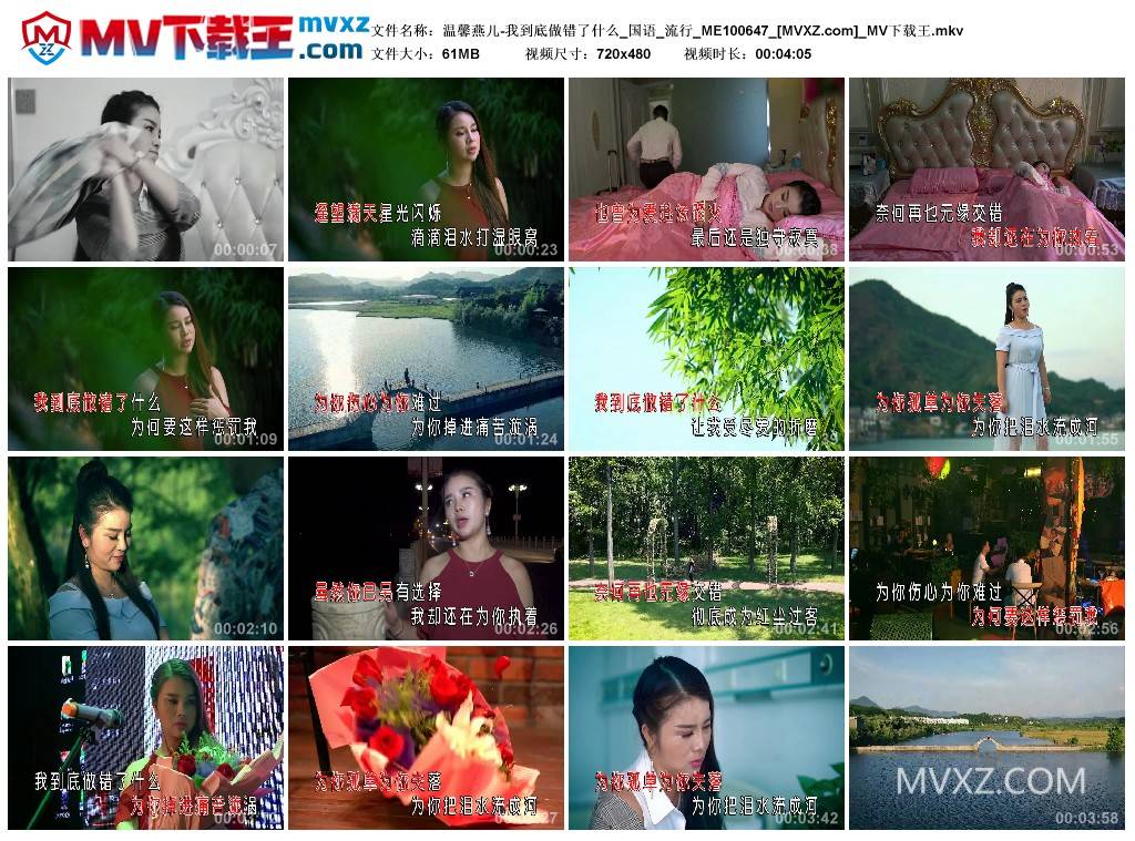 温馨燕儿-我到底做错了什么_国语_流行_ME100647